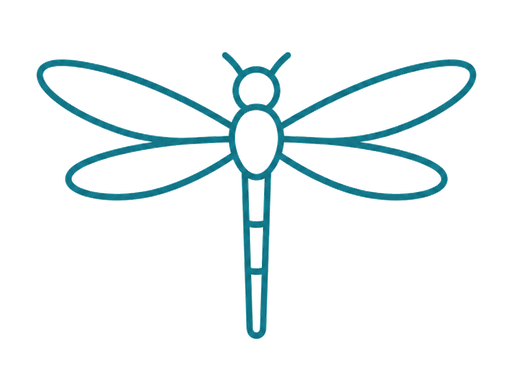 Dragonfly Delivery logo